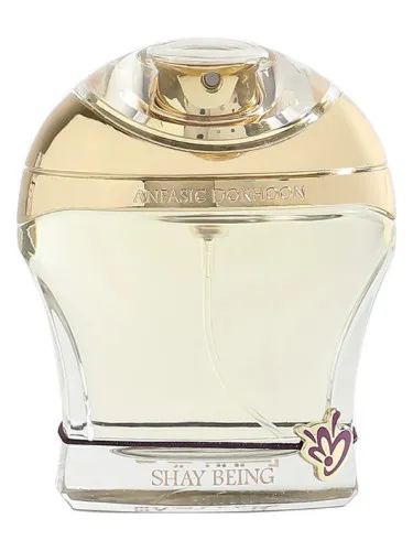 Perfume Shay Being de Anfasic