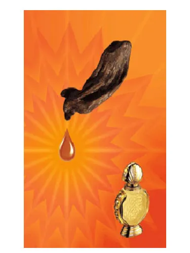 Perfume Shatha Al Oudh de Rasasi
