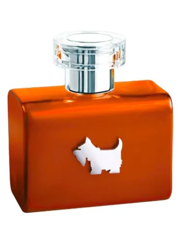 Imagen de Terrier Orange