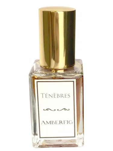 Imagen de Ténèbres