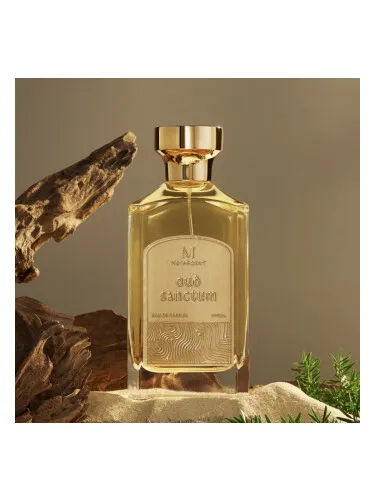 Imagen de Oud Sanctum