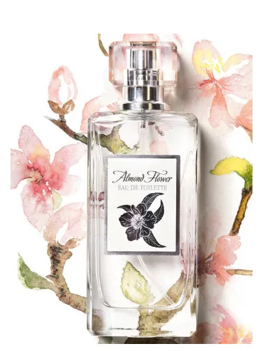Imagen de Almond Flower