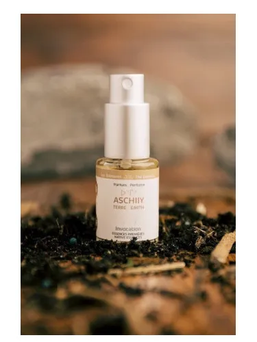 Imagen de Earth – Aschiiy