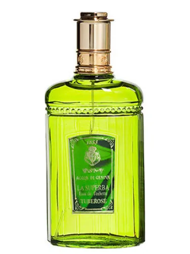 Imagen de Tuberosa