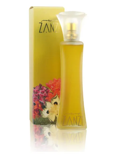 Imagen de Zanzi