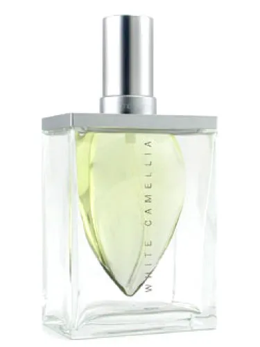 Imagen de White Camellia