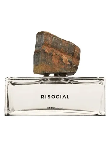 Perfume Cardamom 豆蔻雪松 de Risocial 在野南杂