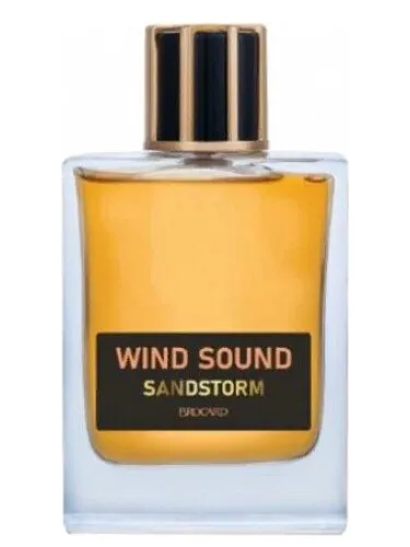 Imagen de Sandstorm