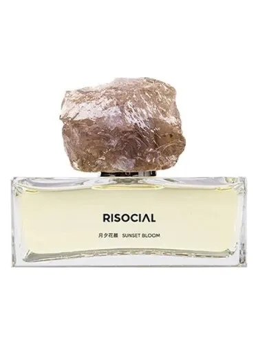 Perfume Sunset Bloom 月夕花晨 de Risocial 在野南杂