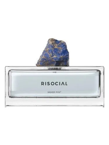 Perfume Silver Mist 银雾弧光 de Risocial 在野南杂