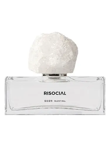 Perfume Silent Hill 空谷足音 de Risocial 在野南杂