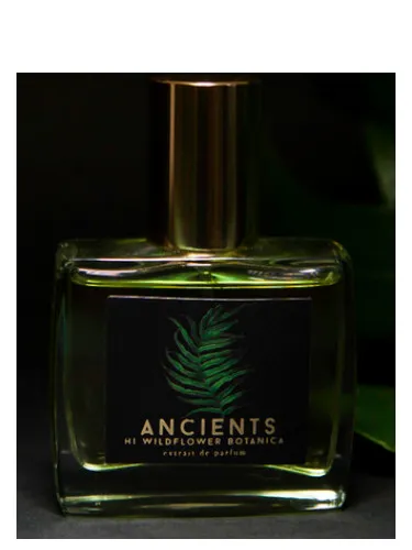 Imagen de Ancients
