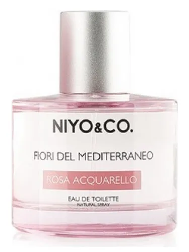 Imagen de Rosa Acquarello