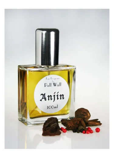 Imagen de Anjin