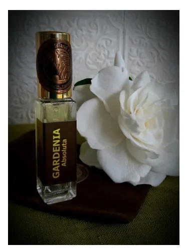 Imagen de Gardenia Absoluta