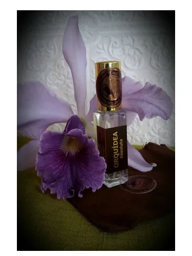 Imagen de Orquidea Absoluta