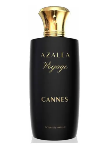 Imagen de Cannes