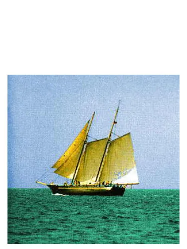 Perfume Sea Wood de Abdes Salaam Attars Perfumes
