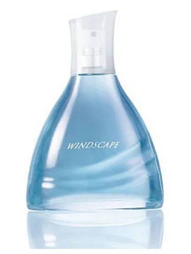Perfume Windscape for Him de Avon