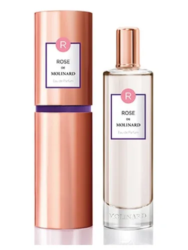 Imagen de Rose