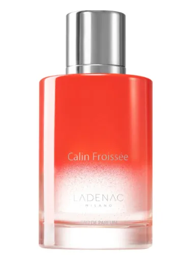 Imagen de Calin Froisée