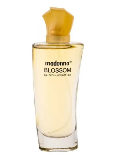 Imagen de Blossom