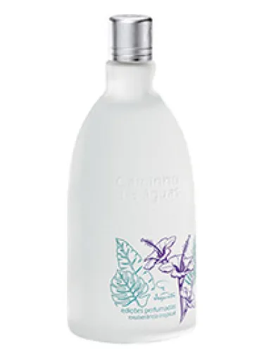 Perfume Edições Perfumadas Exuberância Tropical de Jequiti