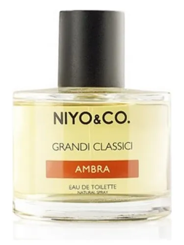 Imagen de Ambra