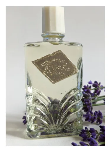 Perfume Голубая долина (Blue valley) de Crimean rose – Крымская роза
