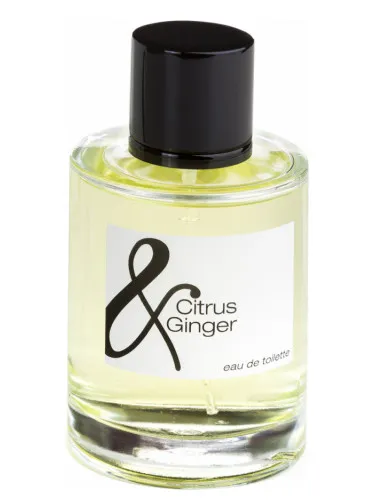 Imagen de Citrus & Ginger