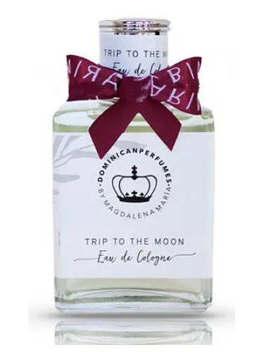 Imagen de Trip to the Moon