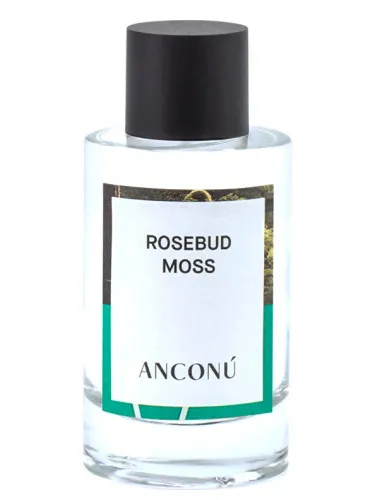 Imagen de Rosebud Moss