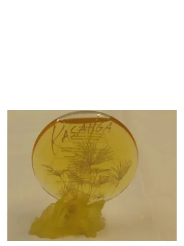 Perfume Kasanga de Pacoma