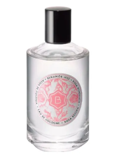 Perfume Rosa Regina de Benamôr