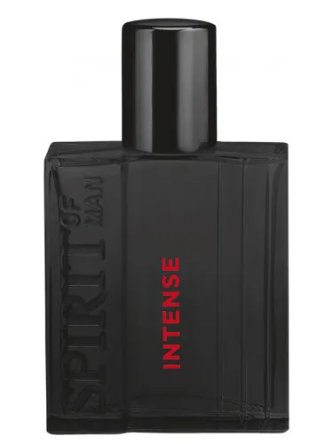 Perfume Spirit of Man Intense de Spirit