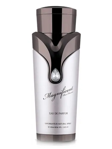 Imagen de Magnificent Pour Homme