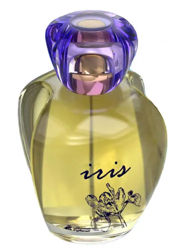 Imagen de Iris