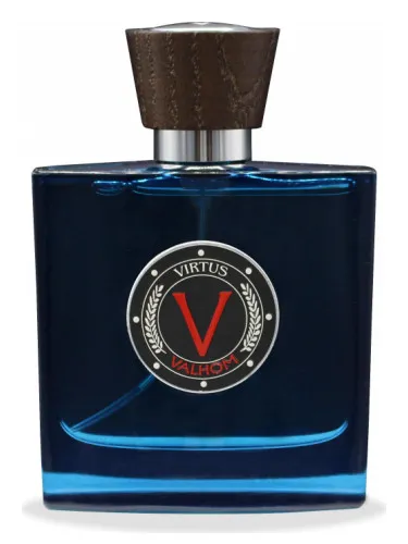 Imagen de Virtus