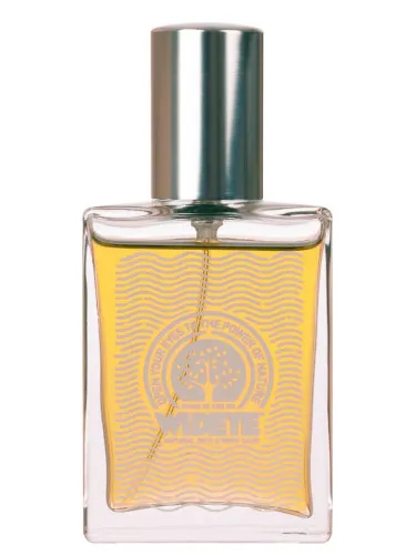 Imagen de Fragrance No 20 Beach Comber