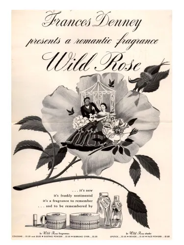 Imagen de Wild Rose