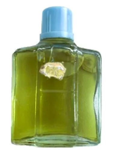 Perfume Элегия de Северное сияние