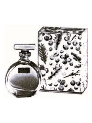 Perfume Март (March) de Северное сияние