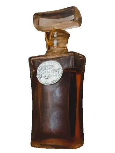 Perfume Визит de Северное сияние