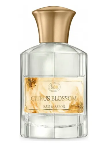 Imagen de Citrus Blossom