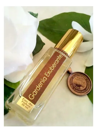 Imagen de Gardenia Exuberante