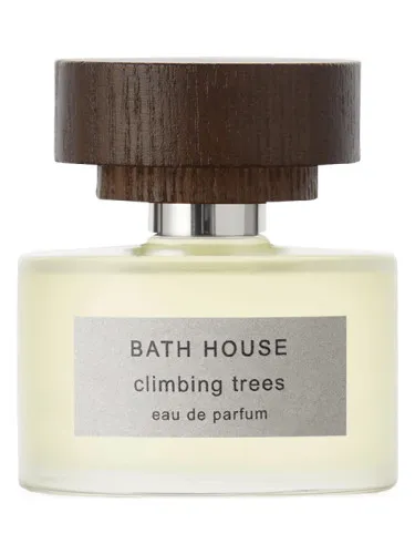 Imagen de Climbing Trees