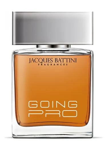 Imagen de Going Pro