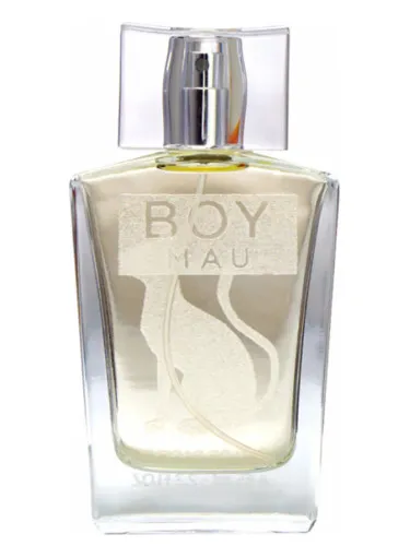 Imagen de Boy