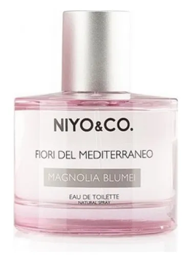 Imagen de Magnolia Blumei
