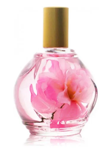Perfume Parfum d'Ambiance Rose de Guy Bouchara